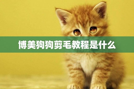 博美狗狗剪毛教程是什么