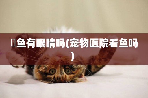 魟魚有眼睛嗎(寵物醫院看魚嗎) 