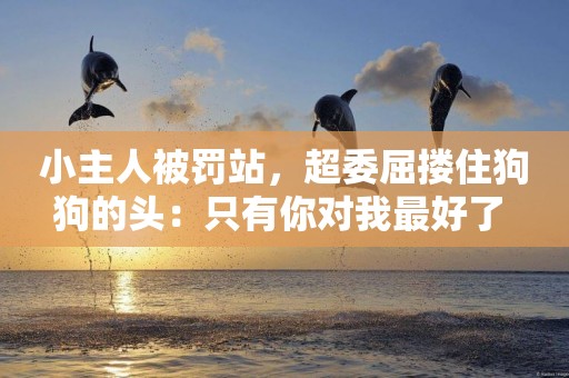 小主人被罰站，超委屈摟住狗狗的頭：只有你對我最好了 