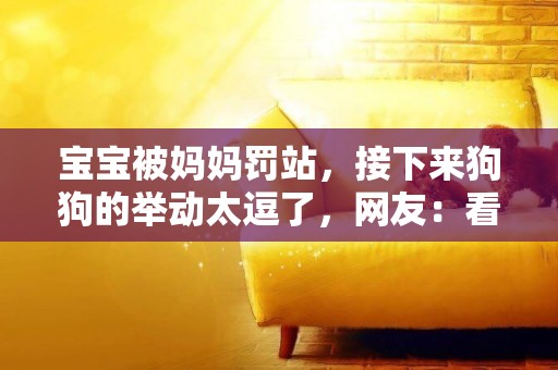 寶寶被媽媽罰站，接下來狗狗的舉動太逗了，網友：看完笑哭了 
