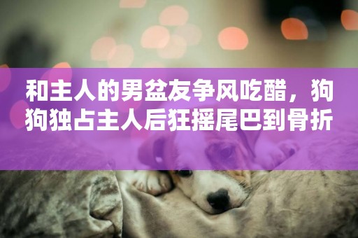 和主人的男盆友爭風吃醋，狗狗獨占主人后狂搖尾巴到骨折 