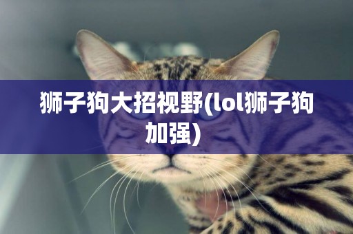 獅子狗大招視野(lol獅子狗加強) 