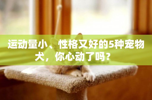 運動量小、性格又好的5種寵物犬，你心動了嗎？ 