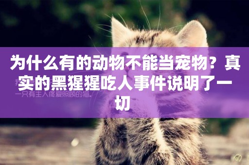 為什么有的動物不能當寵物？真實的黑猩猩吃人事件說明了一切 
