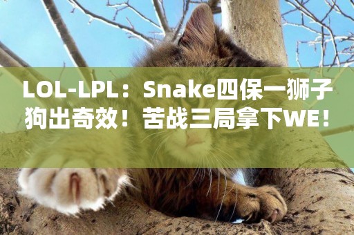 LOL-LPL：Snake四保一獅子狗出奇效！苦戰三局拿下WE！ 