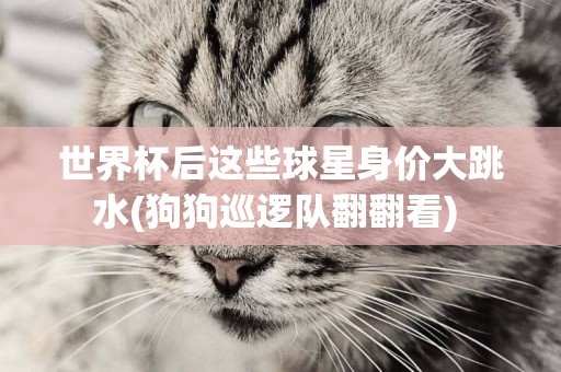 世界杯后這些球星身價大跳水(狗狗巡邏隊翻翻看) 
