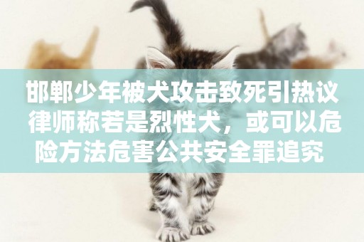 邯鄲少年被犬攻擊致死引熱議 律師稱若是烈性犬，或可以危險方法危害公共安全罪追究 