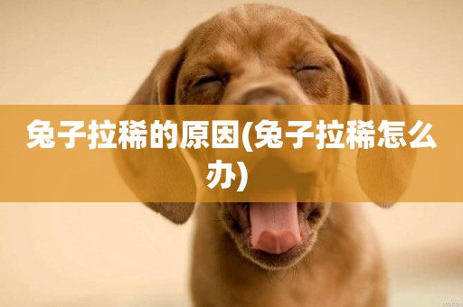 兔子拉稀的原因(兔子拉稀怎么辦) 