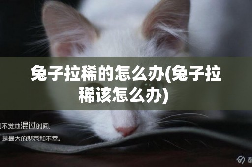兔子拉稀的怎么辦(兔子拉稀該怎么辦) 