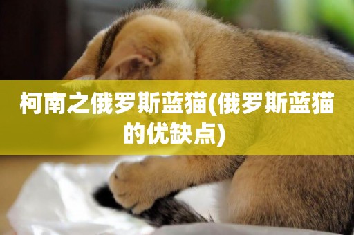 柯南之俄羅斯藍貓(俄羅斯藍貓的優缺點) 