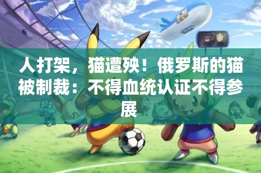 人打架，貓遭殃！俄羅斯的貓被制裁：不得血統認證不得參展 