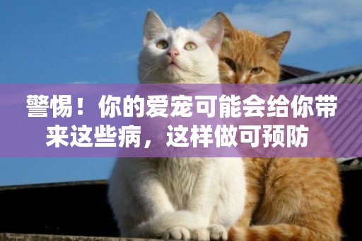 警惕！你的愛寵可能會給你帶來這些病，這樣做可預防 