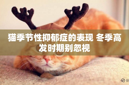 貓季節性抑郁癥的表現 冬季高發時期別忽視