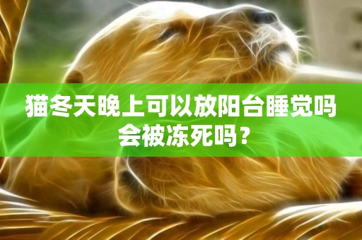 貓冬天晚上可以放陽臺睡覺嗎 會被凍死嗎？