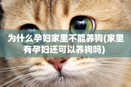 為什么孕婦家里不能養狗(家里有孕婦還可以養狗嗎) 