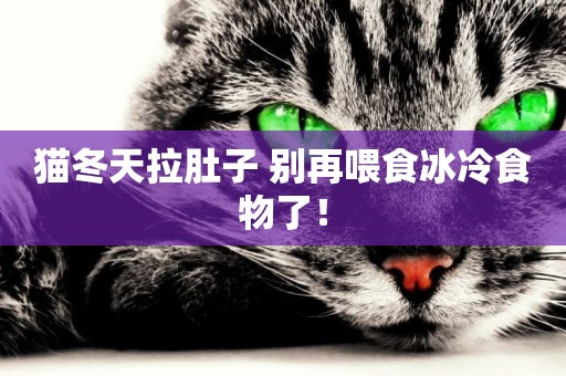 貓冬天拉肚子 別再喂食冰冷食物了！