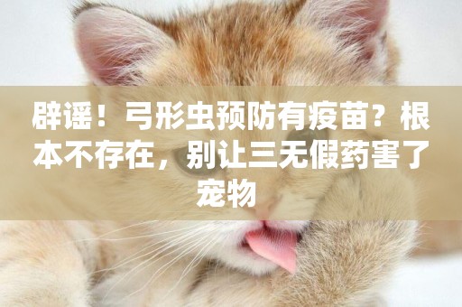辟謠！弓形蟲預防有疫苗？根本不存在，別讓三無假藥害了寵物 