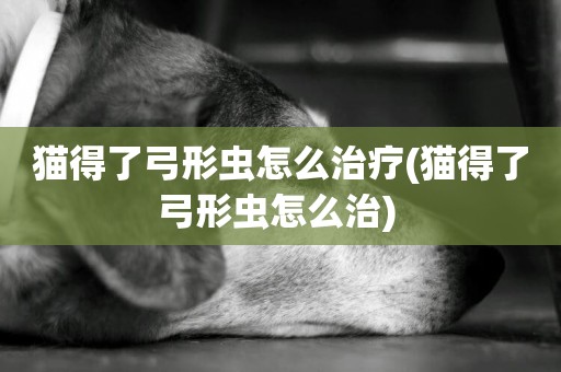 貓得了弓形蟲怎么治療(貓得了弓形蟲怎么治) 