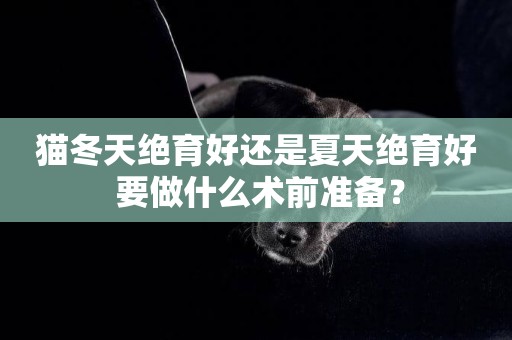 貓冬天絕育好還是夏天絕育好 要做什么術前準備？