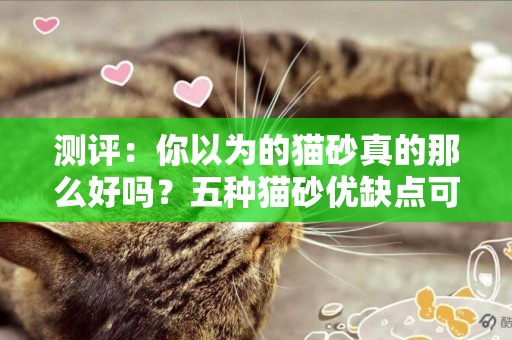 測評：你以為的貓砂真的那么好嗎？五種貓砂優缺點可以了解一下 