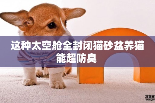 這種太空艙全封閉貓砂盆養貓能超防臭 