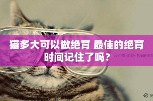 貓多大可以做絕育 最佳的絕育時間記住了嗎？