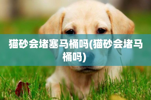 貓砂會堵塞馬桶嗎(貓砂會堵馬桶嗎) 