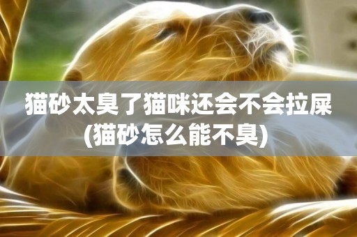 貓砂太臭了貓咪還會不會拉屎(貓砂怎么能不臭) 