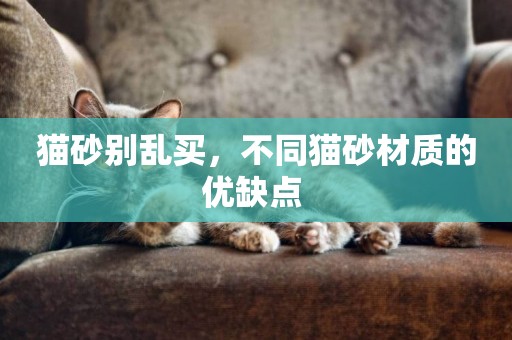貓砂別亂買，不同貓砂材質的優缺點 