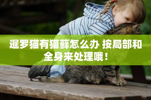 暹羅貓有貓蘚怎么辦 按局部和全身來處理哦！