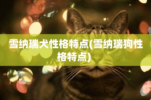 雪納瑞犬性格特點(雪納瑞狗性格特點) 