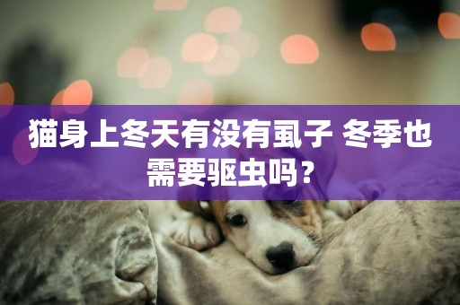 貓身上冬天有沒有虱子 冬季也需要驅蟲嗎？