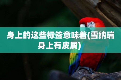 身上的這些標簽意味著(雪納瑞身上有皮屑) 