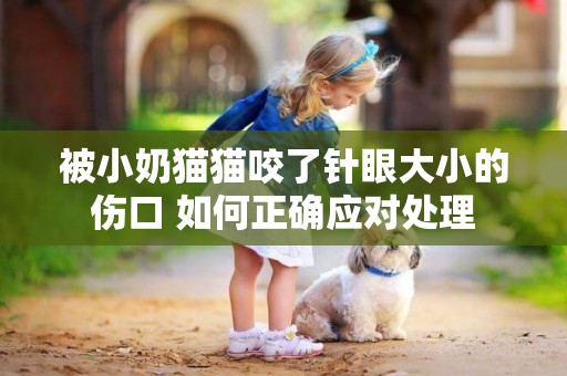 被小奶貓貓咬了針眼大小的傷口 如何正確應對處理