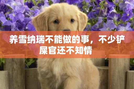 養雪納瑞不能做的事，不少鏟屎官還不知情 