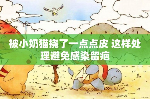被小奶貓撓了一點點皮 這樣處理避免感染留疤