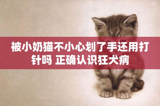 被小奶貓不小心劃了手還用打針嗎 正確認識狂犬病