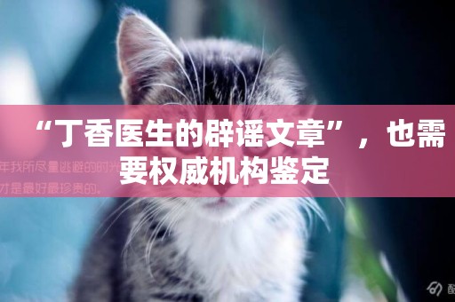“丁香醫生的辟謠文章”，也需要權威機構鑒定 