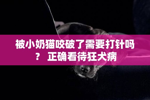 被小奶貓咬破了需要打針嗎？ 正確看待狂犬病