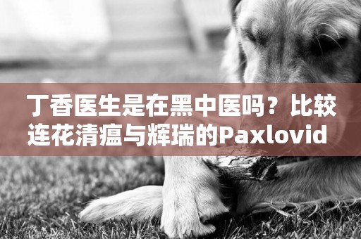 丁香醫生是在黑中醫嗎？比較連花清瘟與輝瑞的Paxlovid 