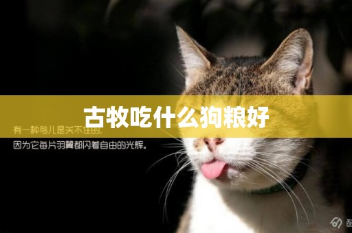 古牧吃什么狗糧好