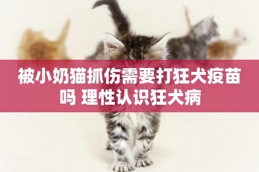 被小奶貓抓傷需要打狂犬疫苗嗎 理性認識狂犬病