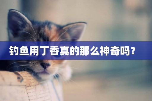 釣魚用丁香真的那么神奇嗎？ 
