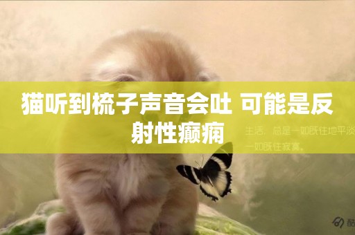 貓聽到梳子聲音會吐 可能是反射性癲癇