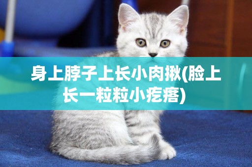 身上脖子上長小肉揪(臉上長一粒粒小疙瘩) 