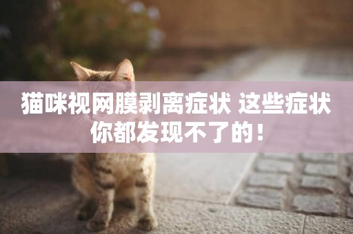 貓咪視網膜剝離癥狀 這些癥狀你都發現不了的！