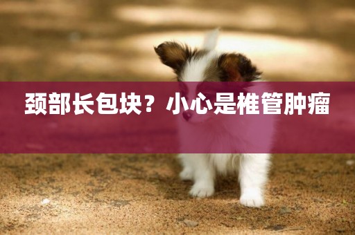 頸部長包塊？小心是椎管腫瘤 