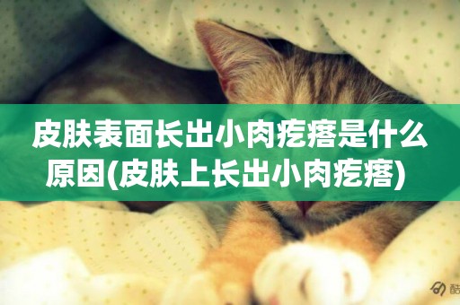皮膚表面長出小肉疙瘩是什么原因(皮膚上長出小肉疙瘩) 