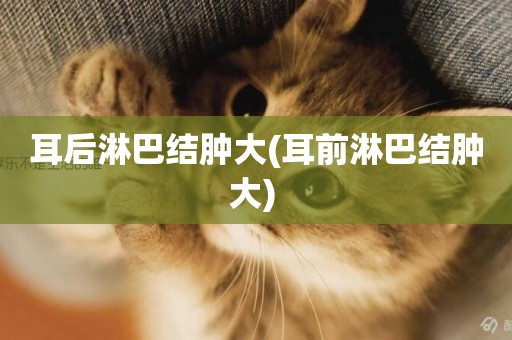 耳后淋巴結腫大(耳前淋巴結腫大) 