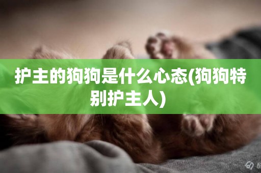 護主的狗狗是什么心態(狗狗特別護主人) 